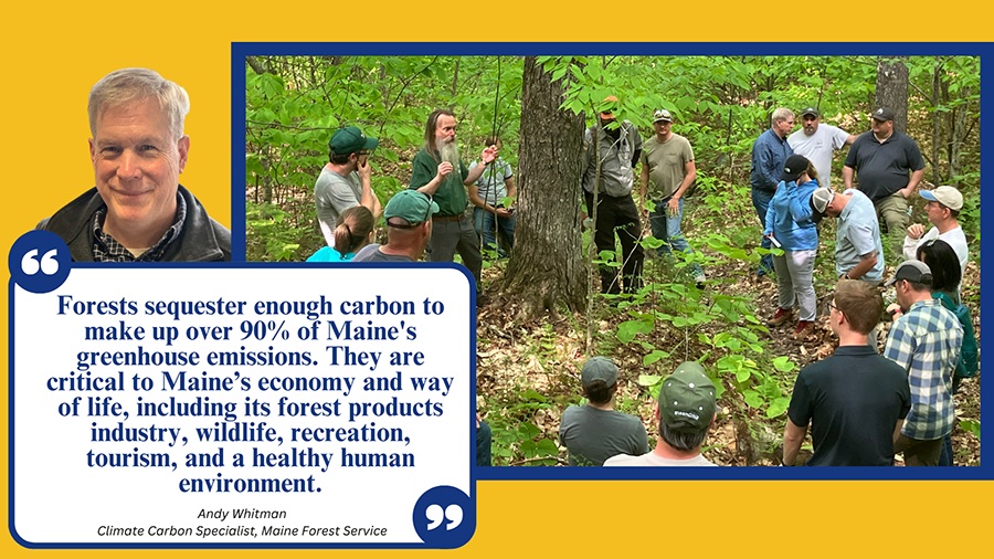 Maine Forest Service Climate Carbon Andy Whitman Maine Won't Wait