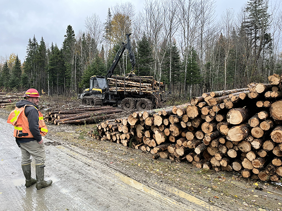 Andy Whitman: Maine Forest Service Climate Carbon Specialist