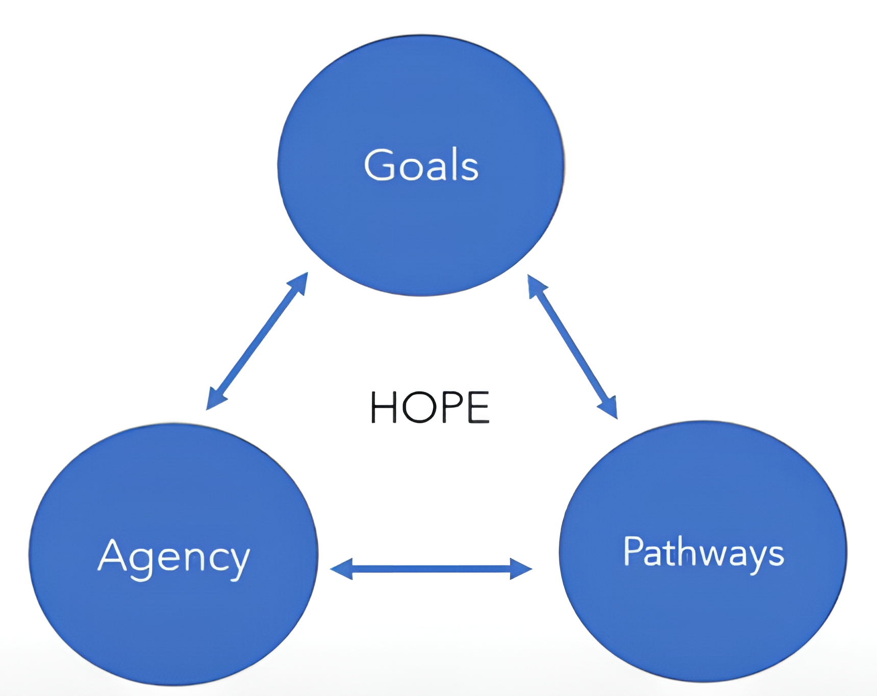 Primary Components Science of Hope