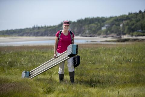 Bates College Professor Bev Johnson Blue Carbon