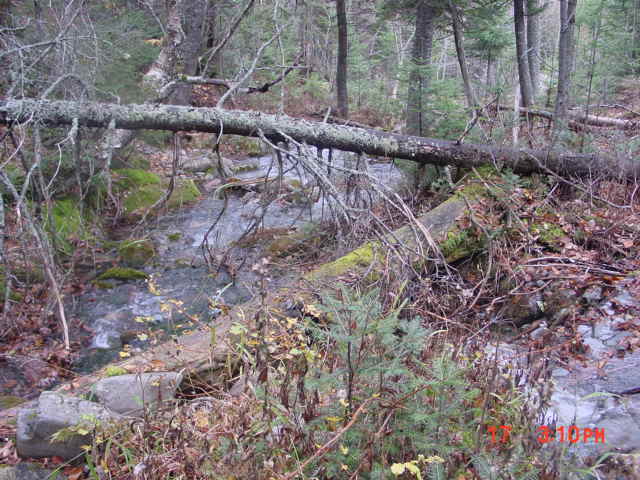 P43_Pt_3_At_Stream_Crossing_Proposal_Bridge_Crossing_#1.jpg