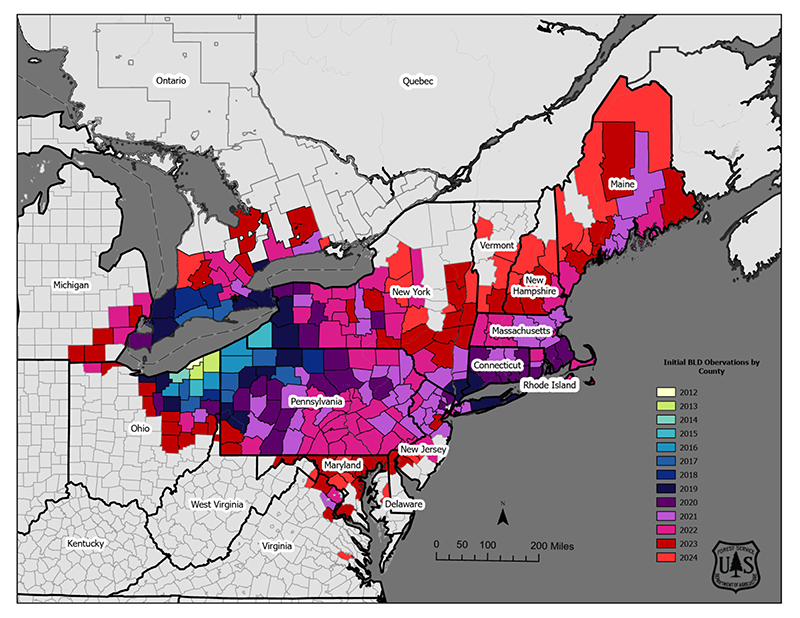 Current Beech Leaf Disease Distribution, January 2023