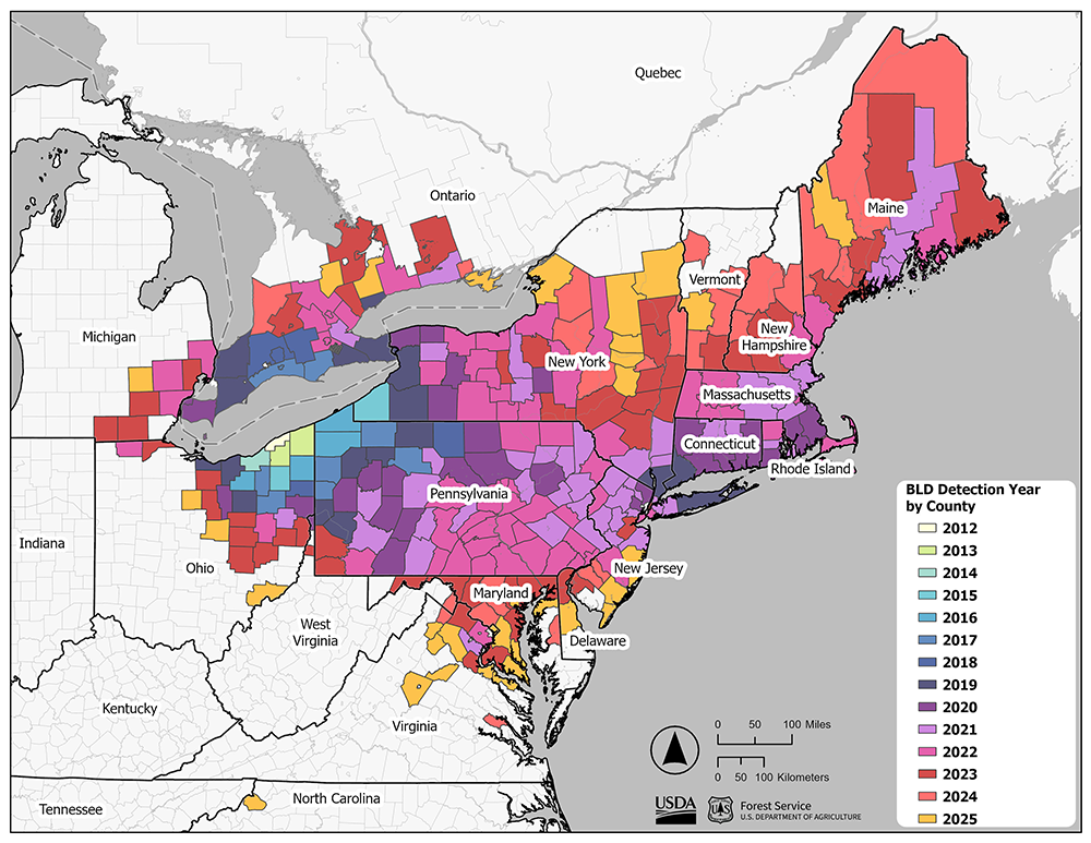 Current Beech Leaf Disease Distribution, January 2023