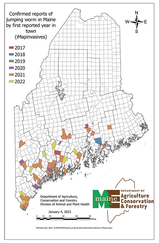 Amynthas Worms in Maine : Maine DACF