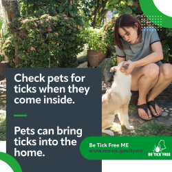 Background image of woman sitting on the ground with a tan and white dog who is sitting and getting an ear rub. The image text says "Check pets for ticks when they come inside. Pets can bring ticks into the home. Be tick free ME."