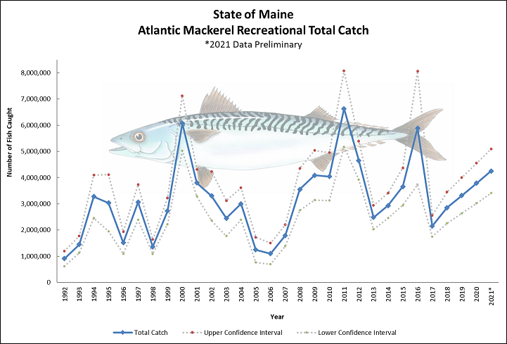 Recreational Landings Of Atlantic Mackerel | Department Of Marine Resources