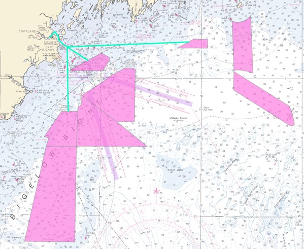 MCMI Survey Area
