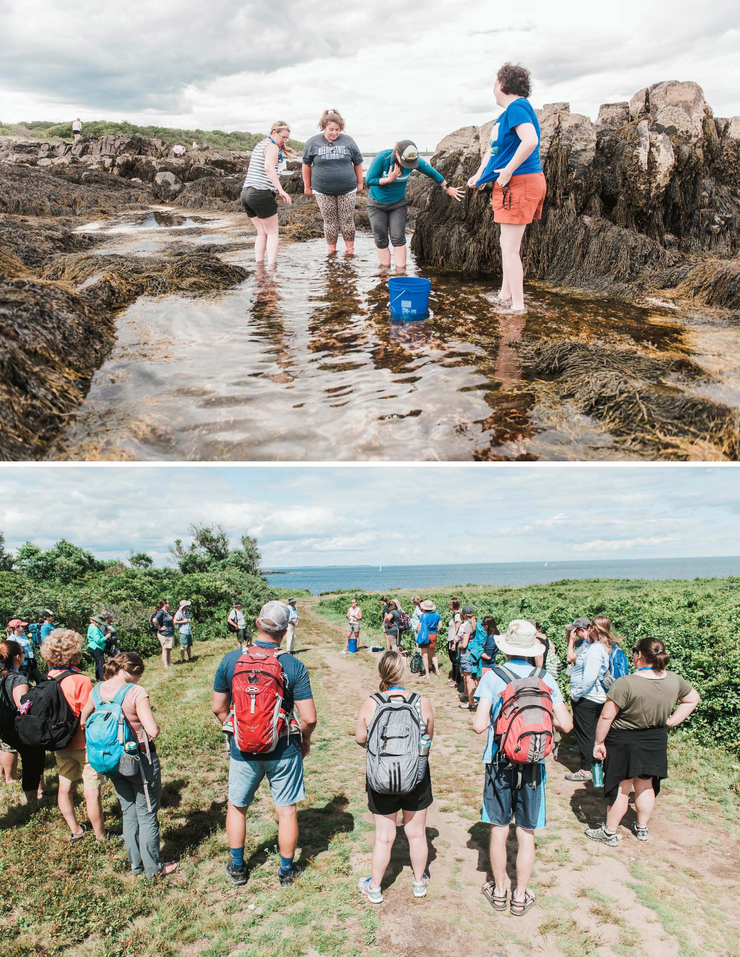 Teachers in a circle exploring a tidal pool