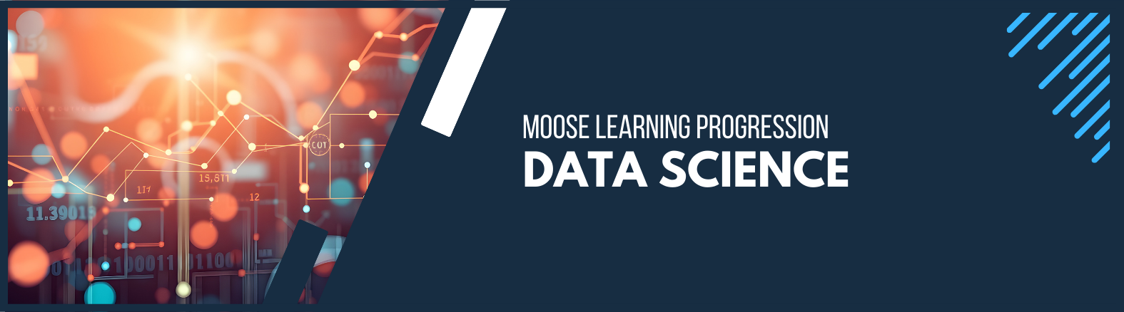 Data Science learning progression banner