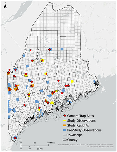 Map of camera trap sites in Maine