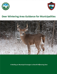 Deer Wintering Area Guidance for Municipalities (PDF)