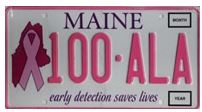 Breast Cancer license plate image