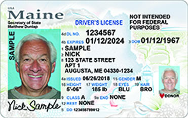 Image of Maine License